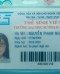 Nguyễn Phạm Ngọc Trinh